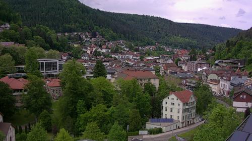 Webcam Bad Wildbad