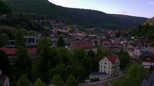 Webcam Bad Wildbad