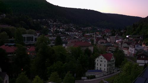 Webcam Bad Wildbad