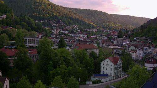 Webcam Bad Wildbad