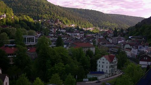 Webcam Bad Wildbad