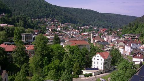 Webcam Bad Wildbad