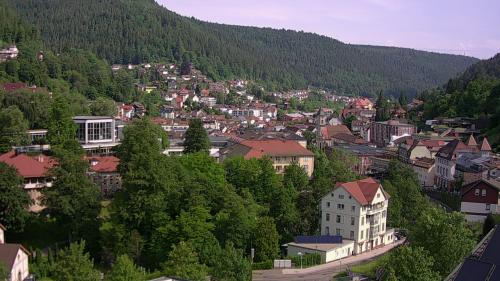 Webcam Bad Wildbad