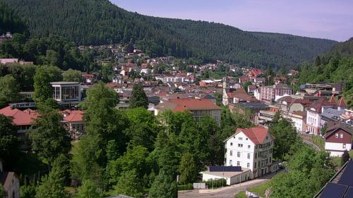 Webcam Bad Wildbad