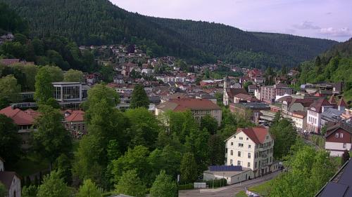 Webcam Bad Wildbad