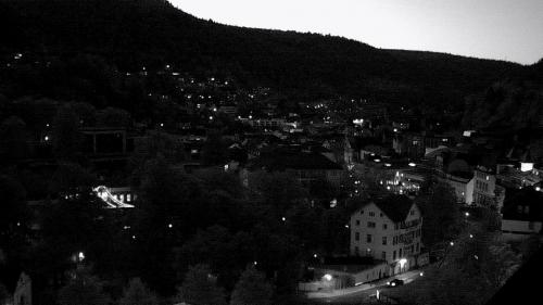 Webcam Bad Wildbad