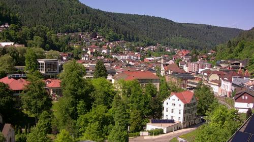 Webcam Bad Wildbad