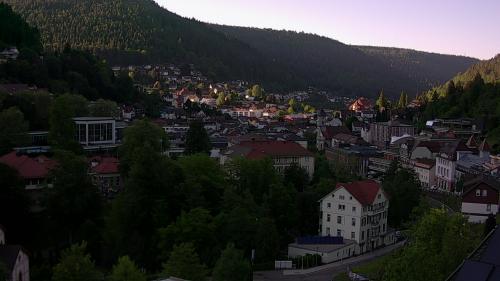 Webcam Bad Wildbad