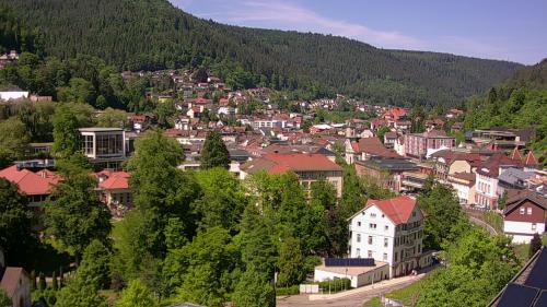 Webcam Bad Wildbad