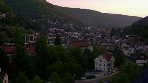 Webcam Bad Wildbad