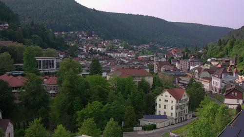 Webcam Bad Wildbad