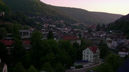 Webcam Bad Wildbad