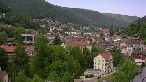 Webcam Bad Wildbad