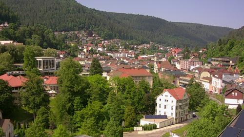 Webcam Bad Wildbad