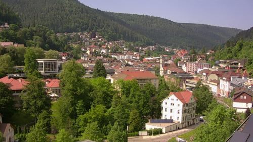 Webcam Bad Wildbad