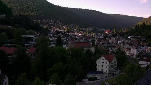 Webcam Bad Wildbad