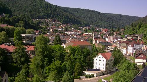 Webcam Bad Wildbad