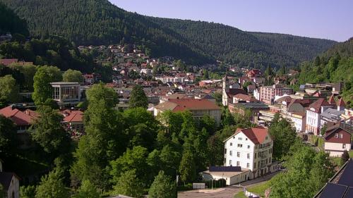 Webcam Bad Wildbad