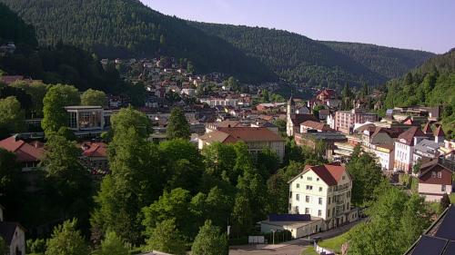 Webcam Bad Wildbad