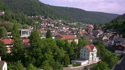 Webcam Bad Wildbad