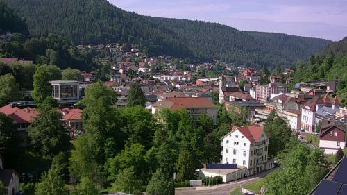 Webcam Bad Wildbad
