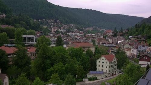 Webcam Bad Wildbad