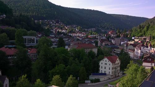 Webcam Bad Wildbad