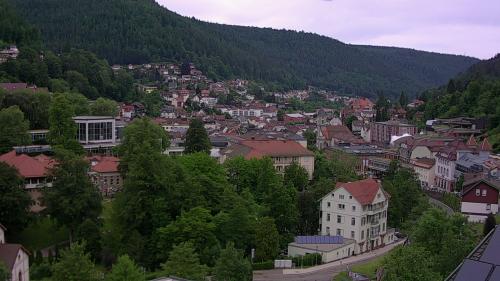 Webcam Bad Wildbad