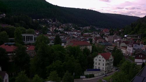 Webcam Bad Wildbad