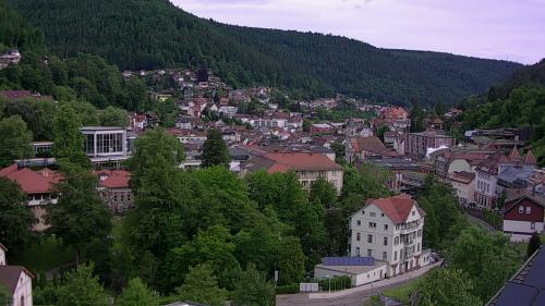 Webcam Bad Wildbad