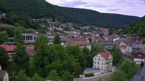 Webcam Bad Wildbad