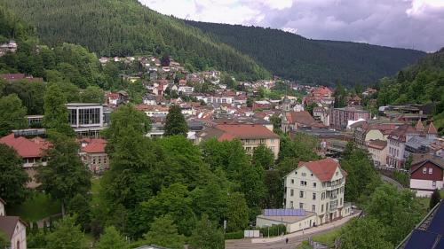 Webcam Bad Wildbad