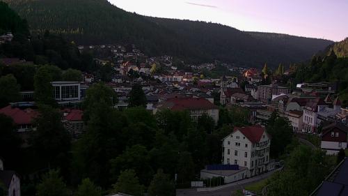 Webcam Bad Wildbad