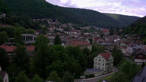 Webcam Bad Wildbad