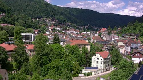 Webcam Bad Wildbad