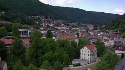 Webcam Bad Wildbad