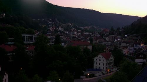 Webcam Bad Wildbad