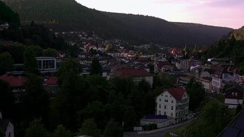 Webcam Bad Wildbad