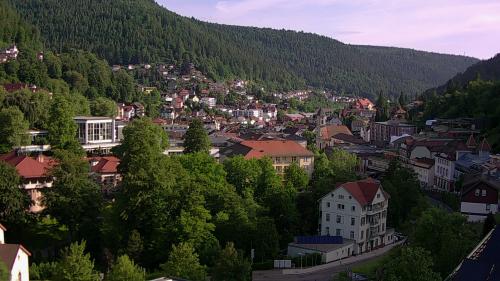 Webcam Bad Wildbad