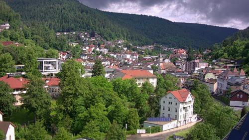 Webcam Bad Wildbad