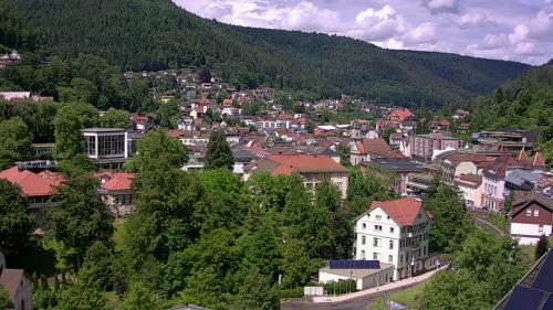 Webcam Bad Wildbad