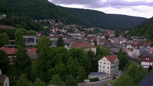 Webcam Bad Wildbad