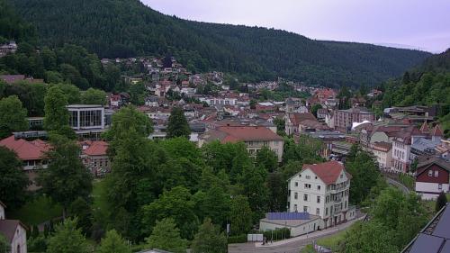 Webcam Bad Wildbad