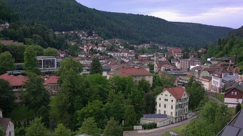 Webcam Bad Wildbad