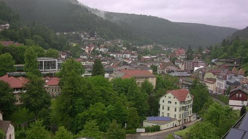 Webcam Bad Wildbad