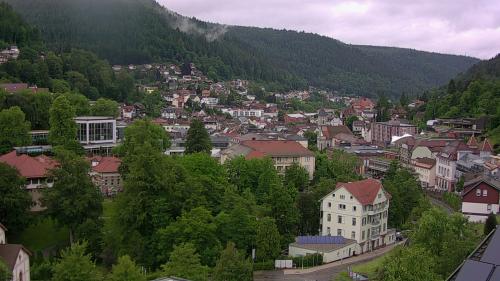 Webcam Bad Wildbad