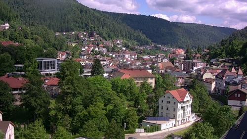 Webcam Bad Wildbad