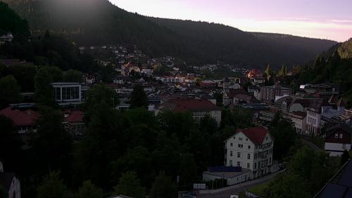 Webcam Bad Wildbad
