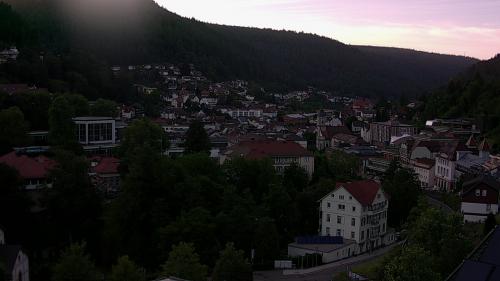 Webcam Bad Wildbad