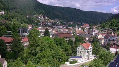 Webcam Bad Wildbad